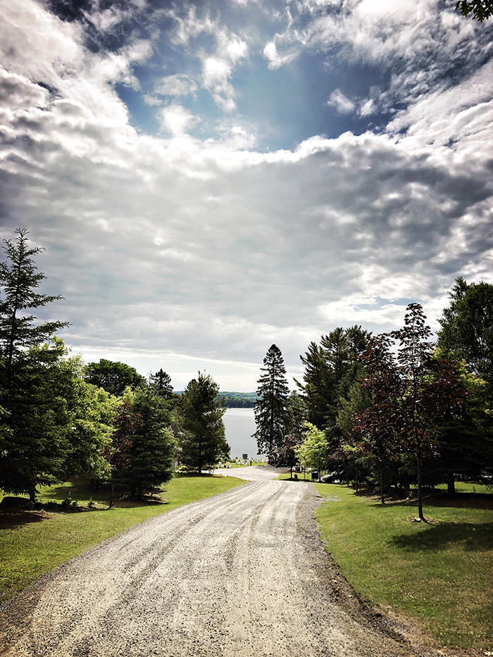 Tree-lined drive toward Lake of Bays at Port Cunnington Lodge